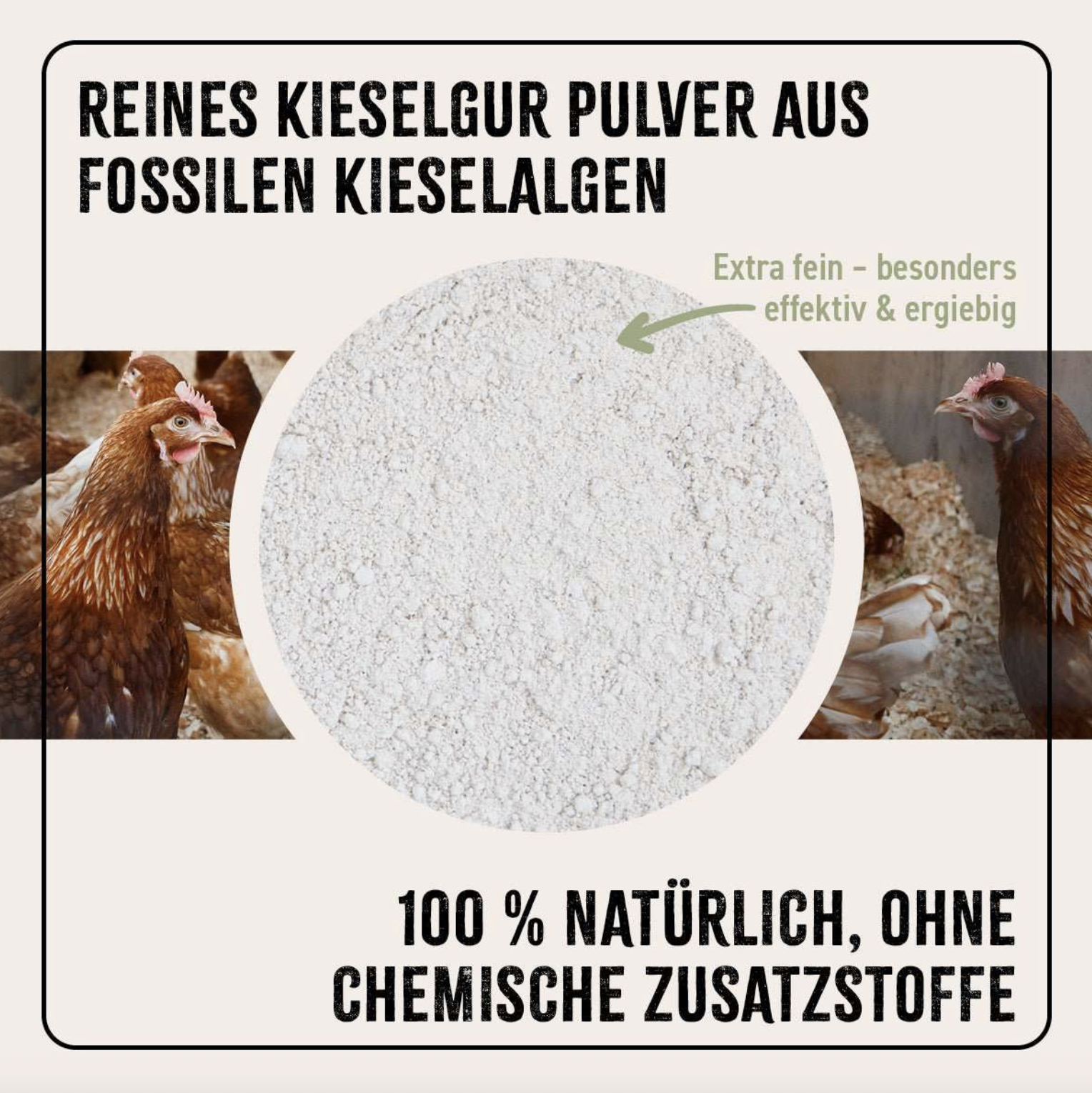 Screenshot 2026-02-05 at 13.48.13